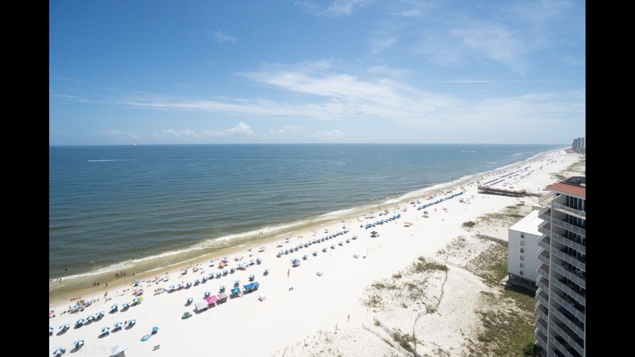 Photo of Others in Gulf Shores