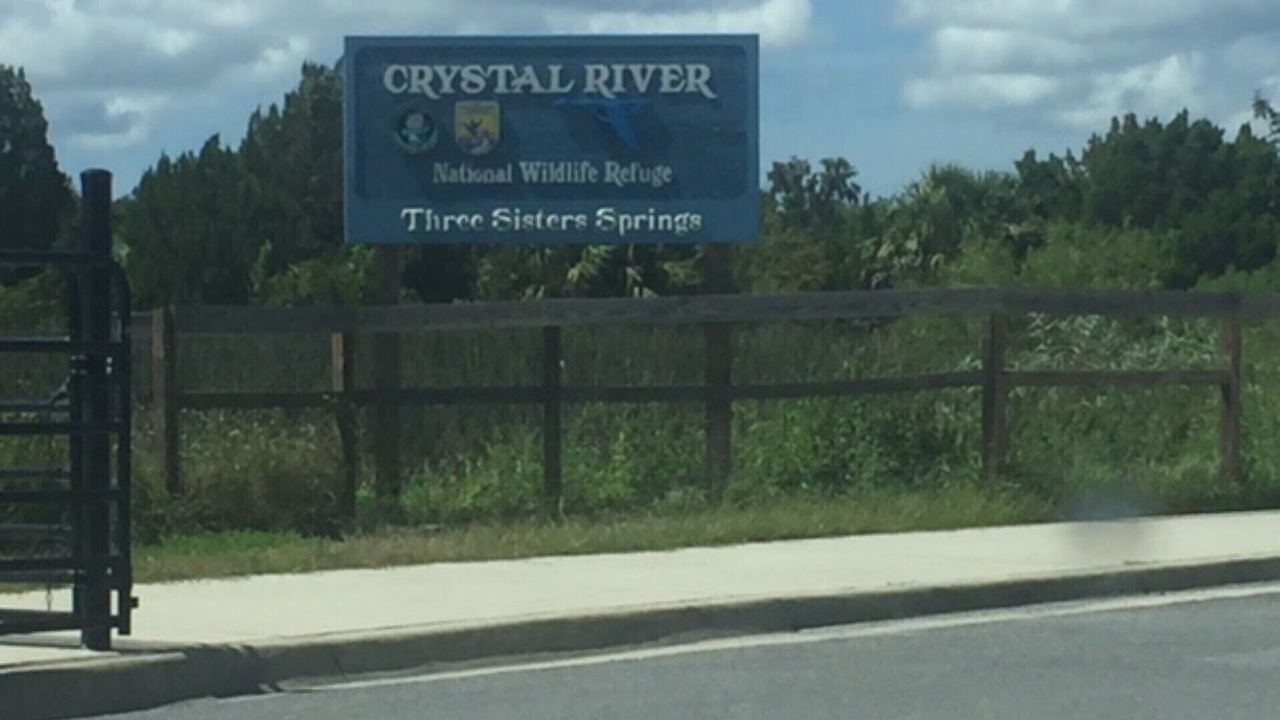 Photo of Others in Crystal River