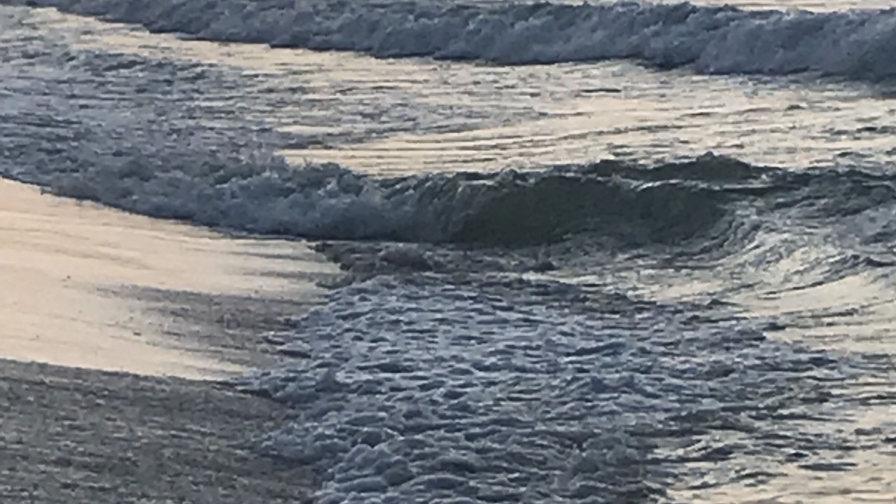 Photo of Others in Pensacola Beach
