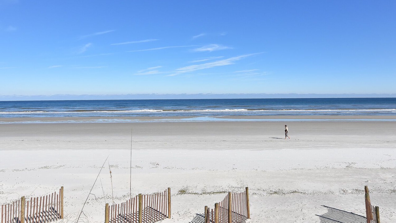 Photo of Others in Sea Dunes