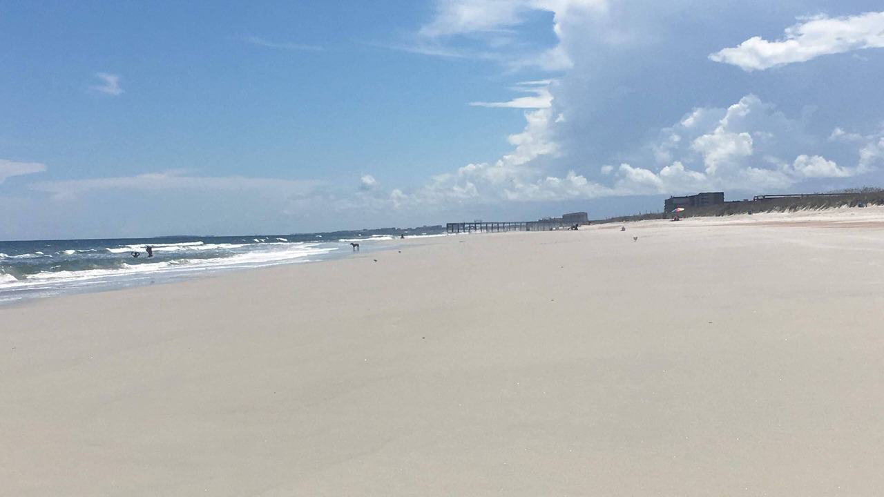 Photo of Others in Fernandina Beach