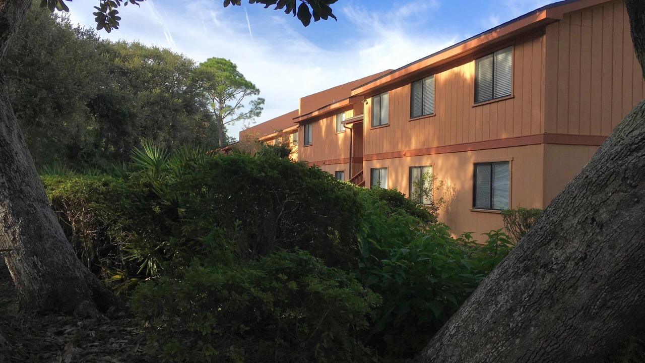 Photo of Outdoor in Fernandina Beach