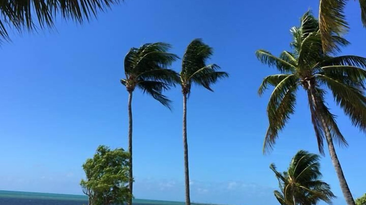 Photo of Others in Key West
