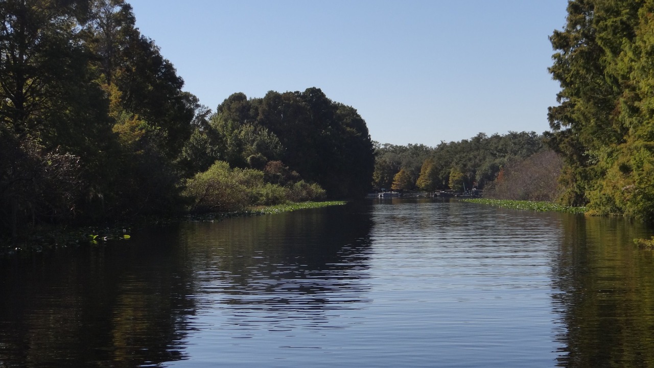 Photo of Outdoor in Lake Wales