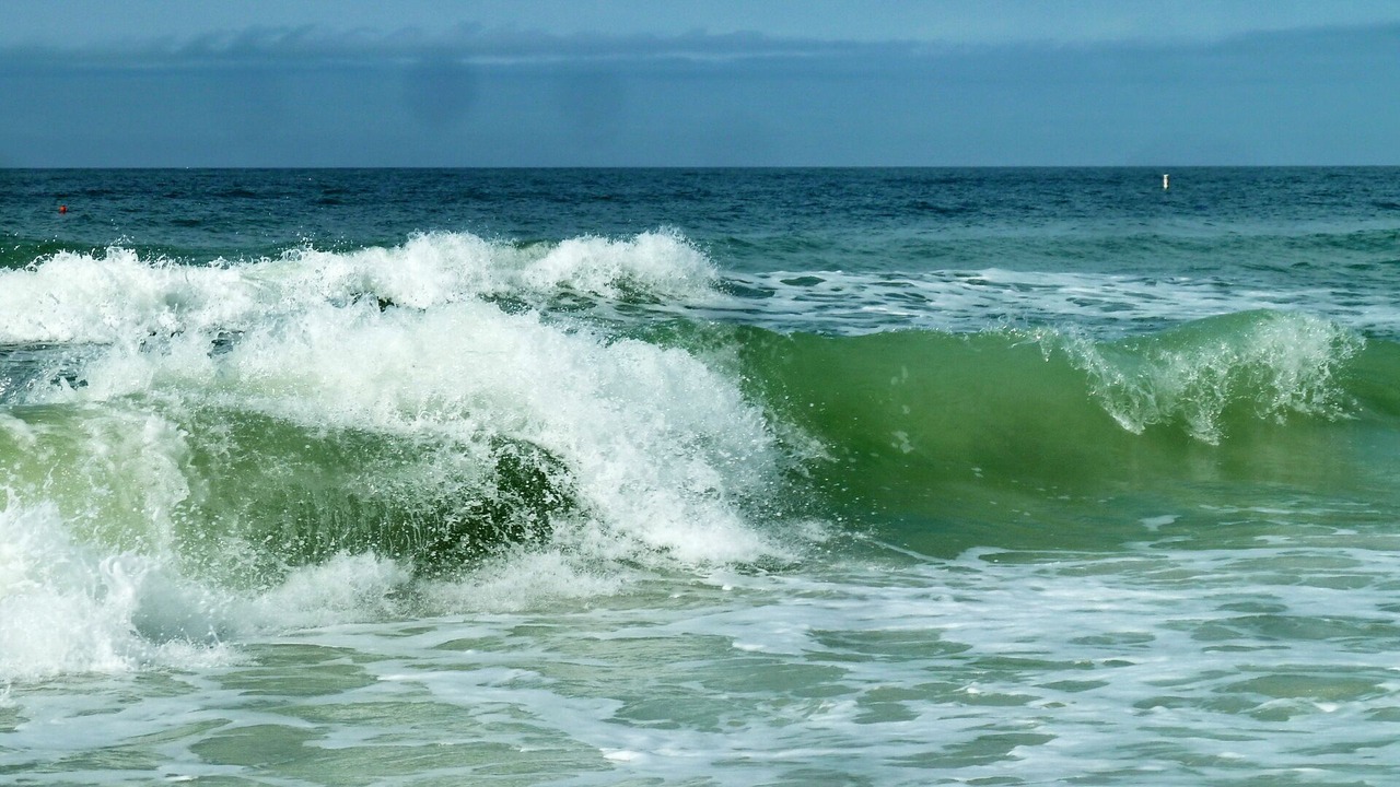 Photo of Outdoor in Treasure Island