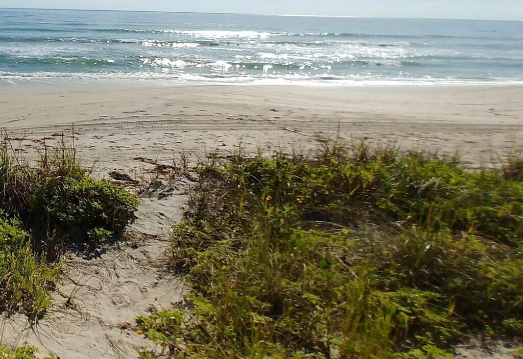 Photo of Others in Ambersand Beach