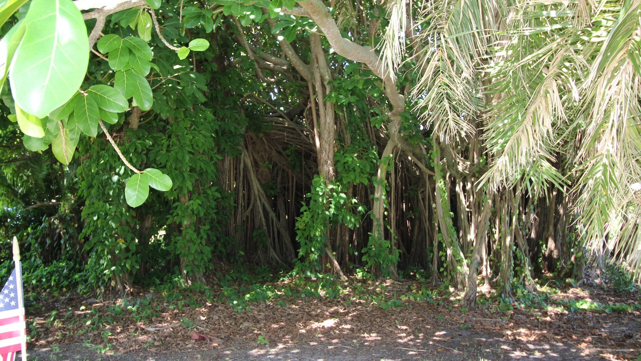 Photo of Others in St. Lucie Village