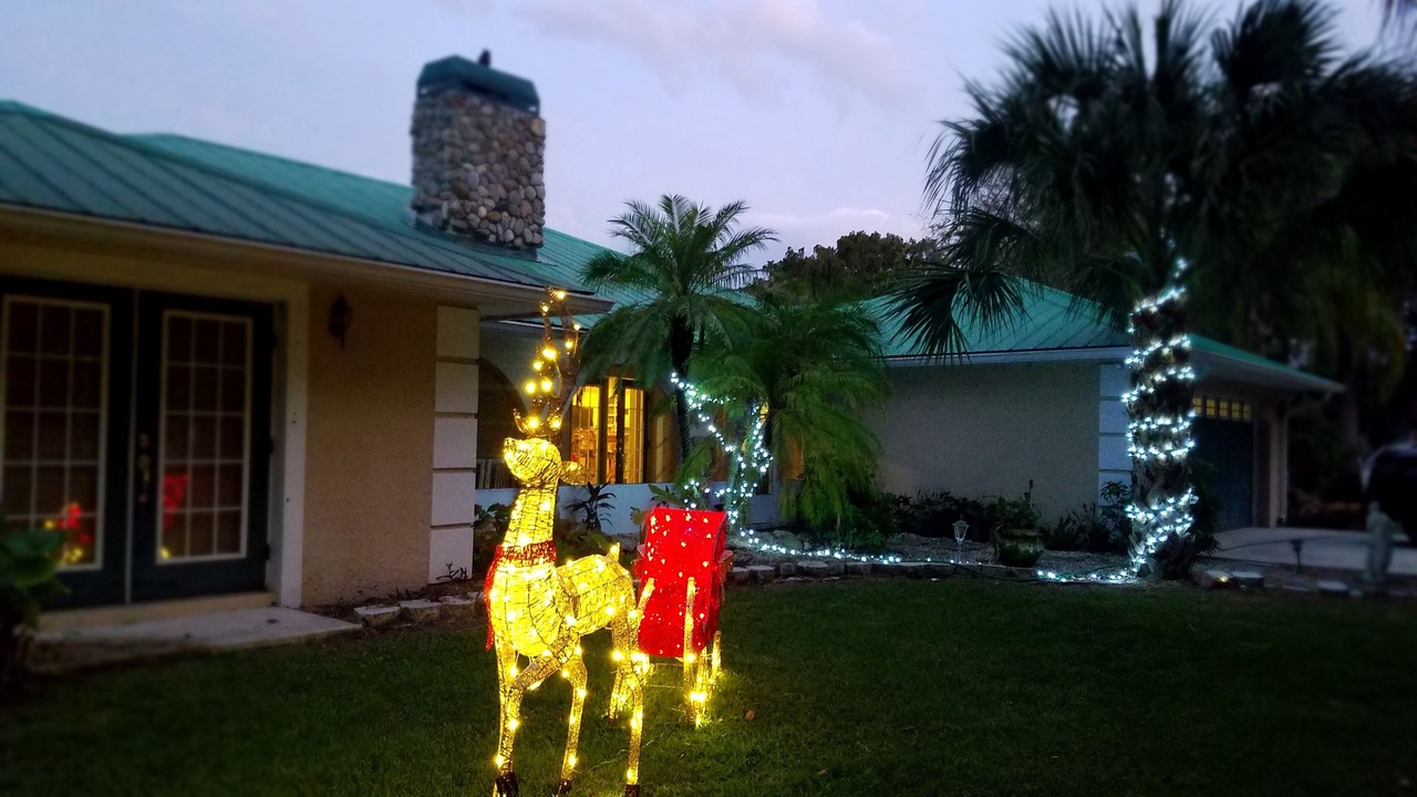 Photo of Outdoor in Okeechobee