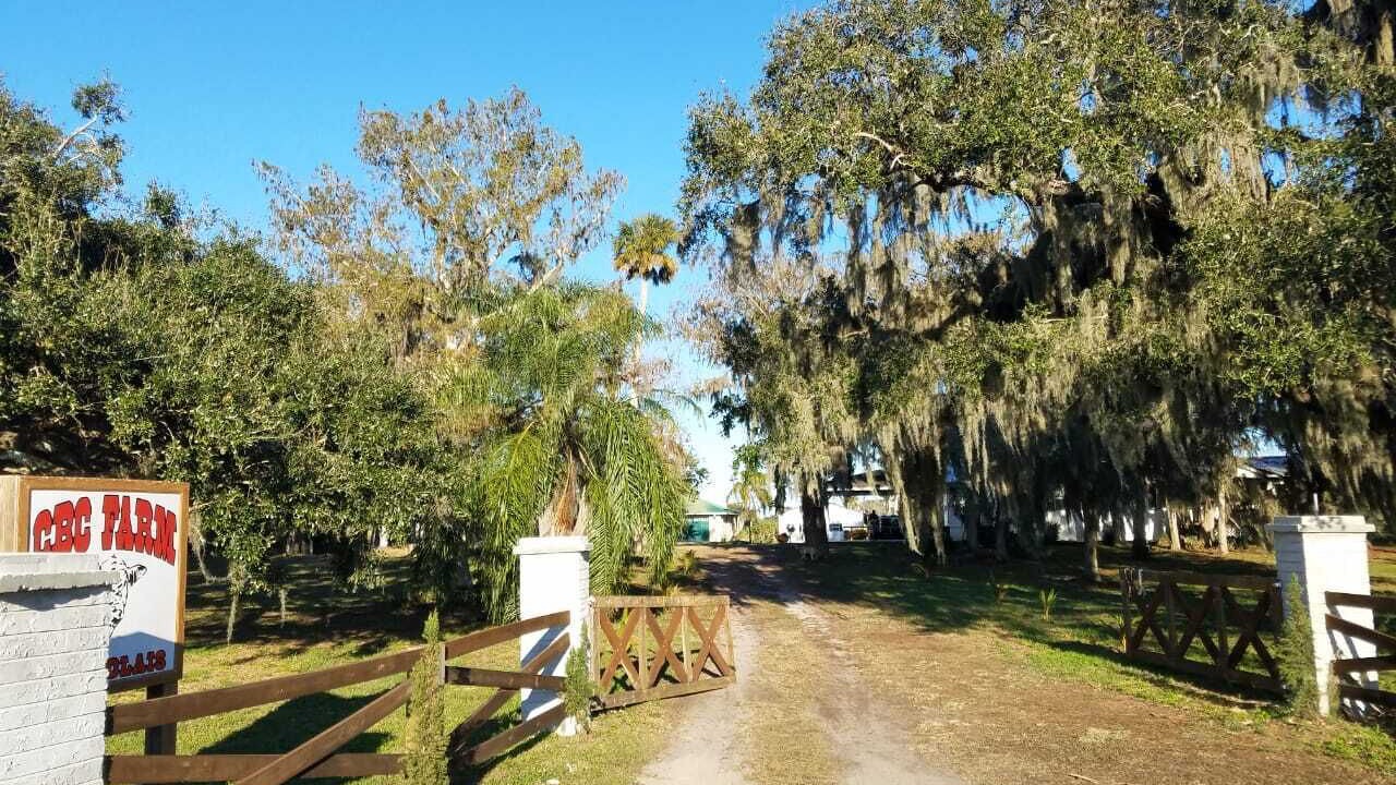 Photo of Outdoor in Okeechobee
