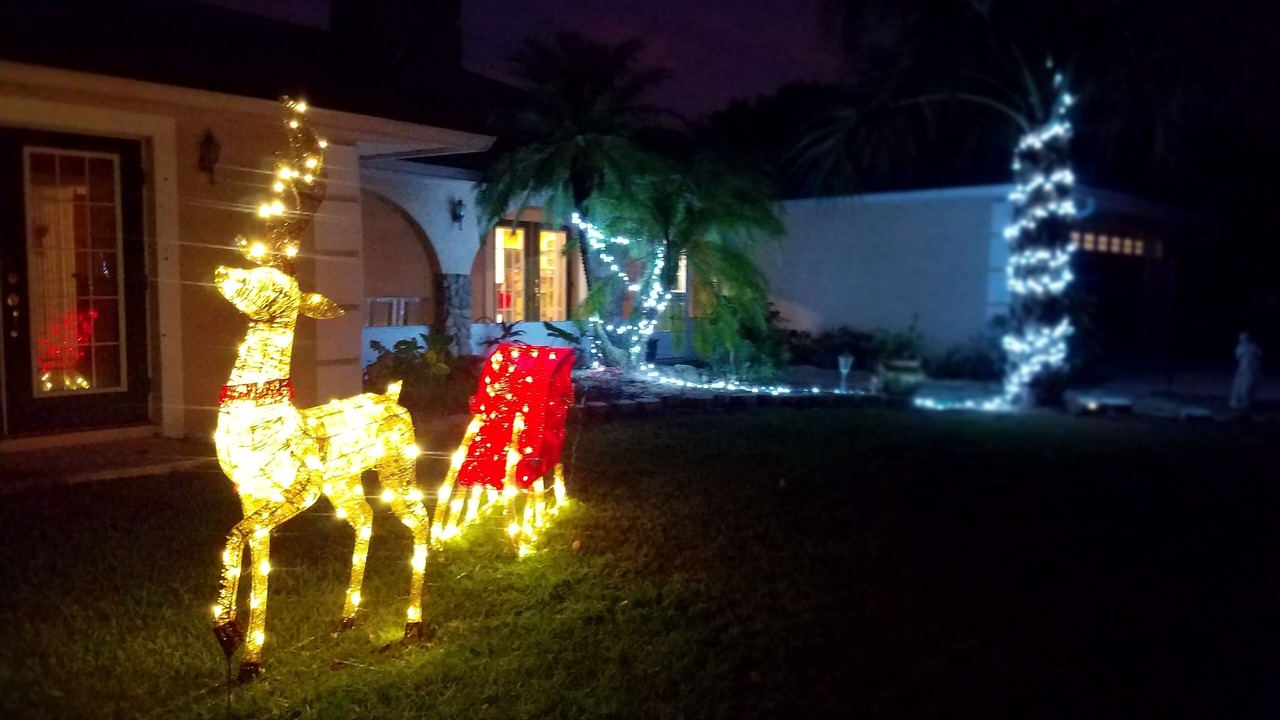 Photo of Outdoor in Okeechobee