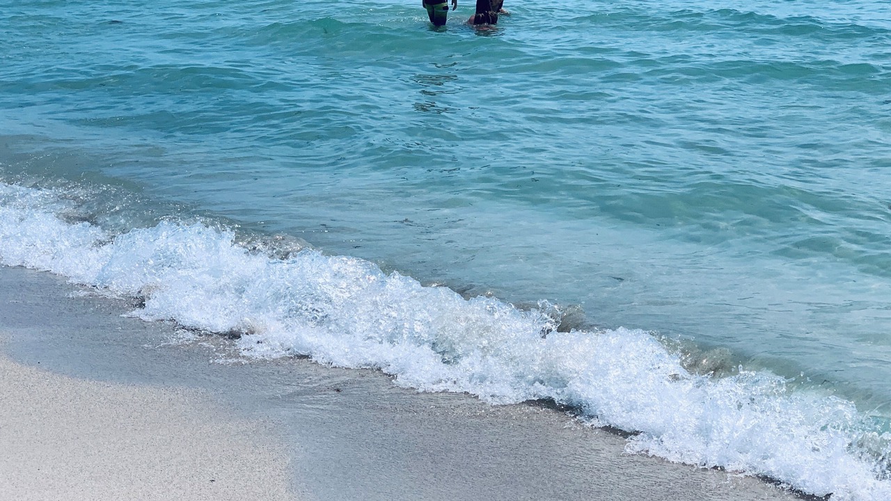 Photo of Others in South Pointe