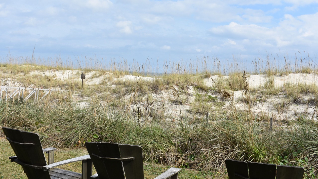 Photo of Outdoor in St. Augustine Beach