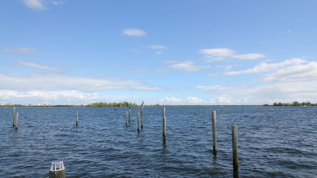 Photo of Others in Fort Pierce North