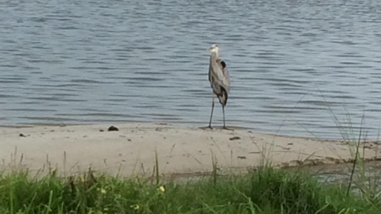 Photo of Others in Fort Pierce North