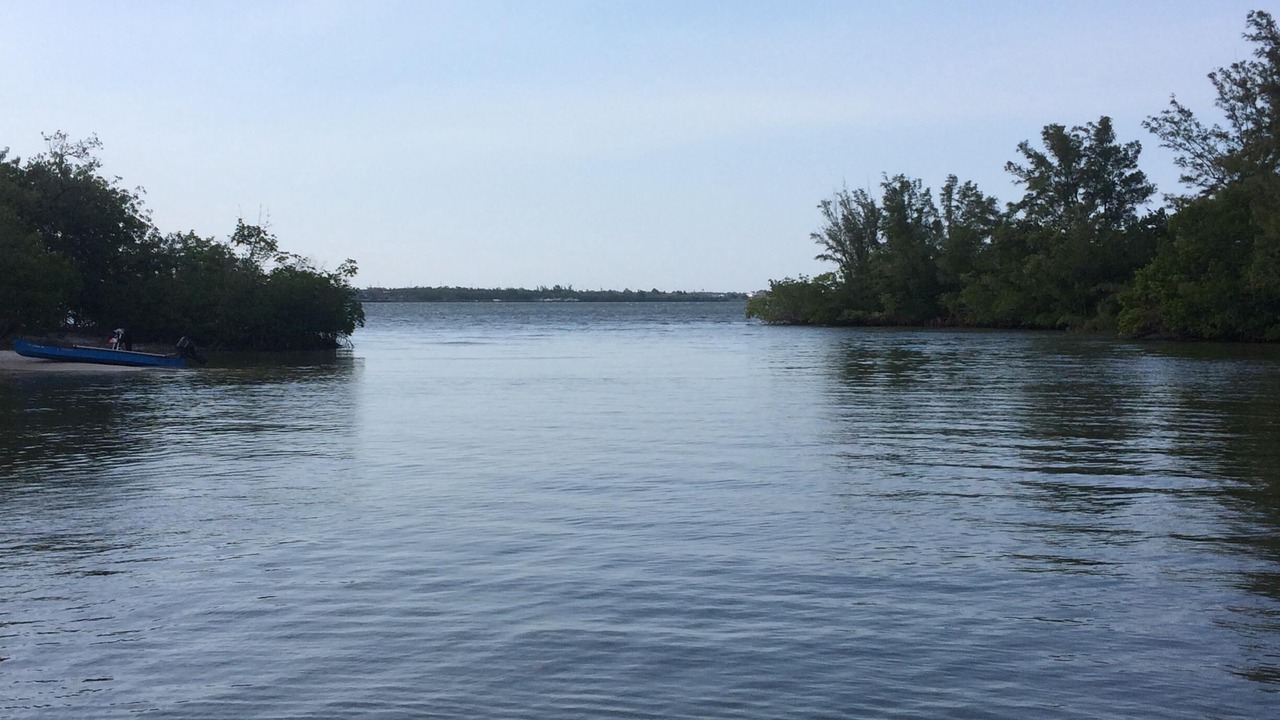Photo of Others in Fort Pierce North