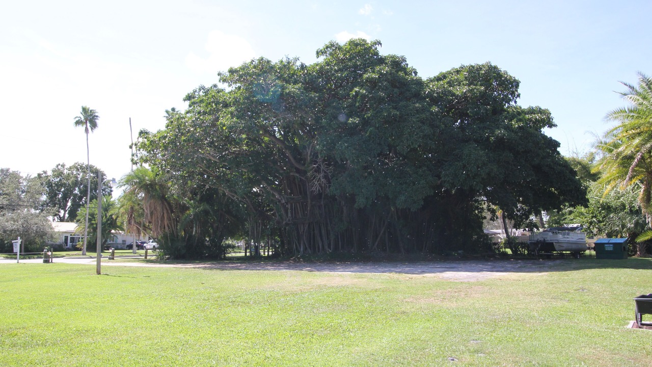 Photo of Outdoor in Fort Pierce North