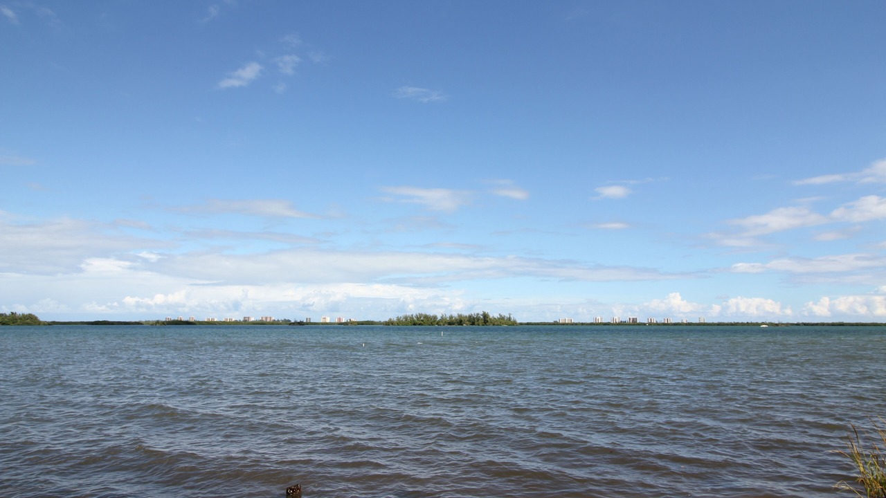 Photo of Others in Fort Pierce North