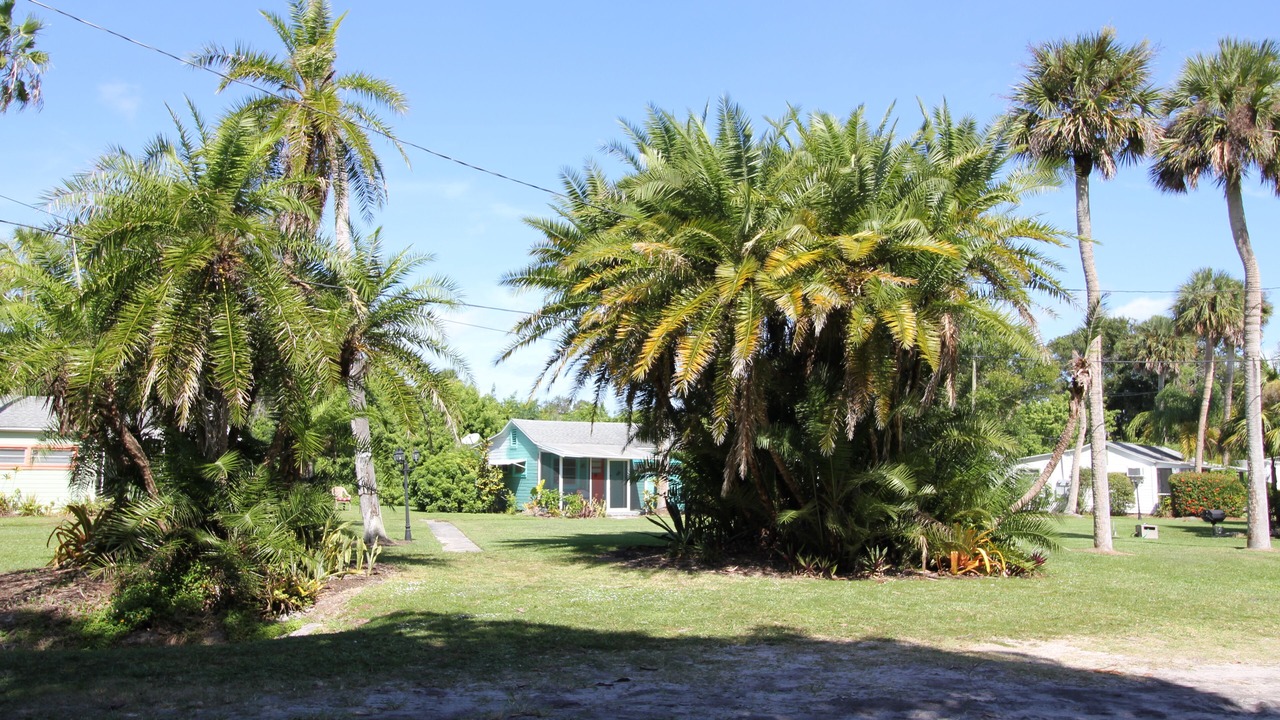 Photo of Outdoor in Fort Pierce North