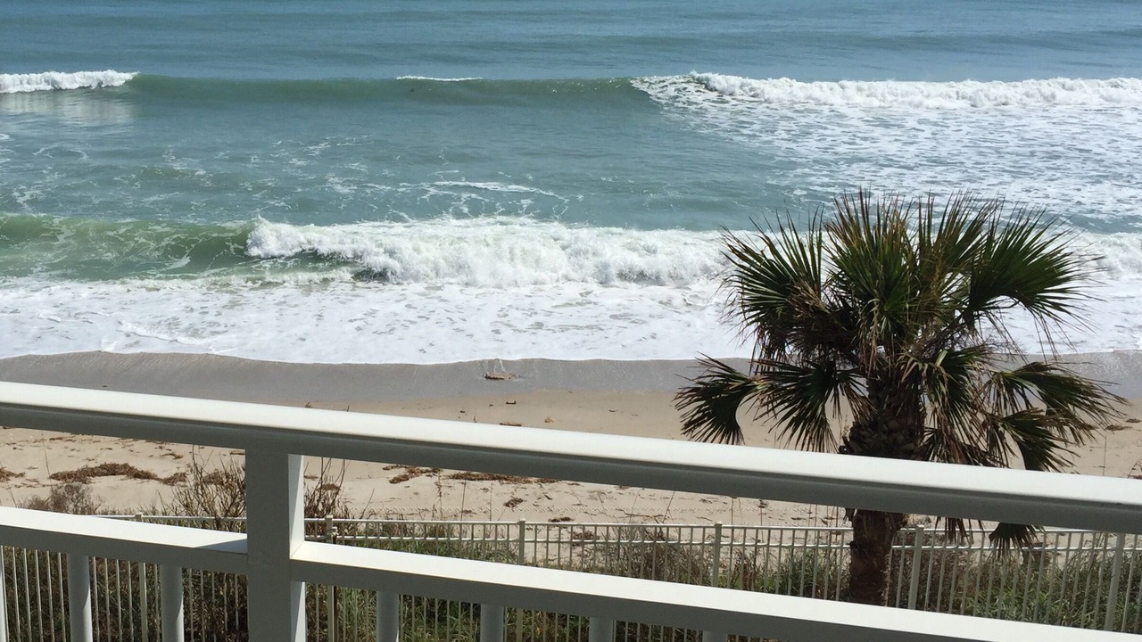 Photo of Others in Indian Harbour Beach