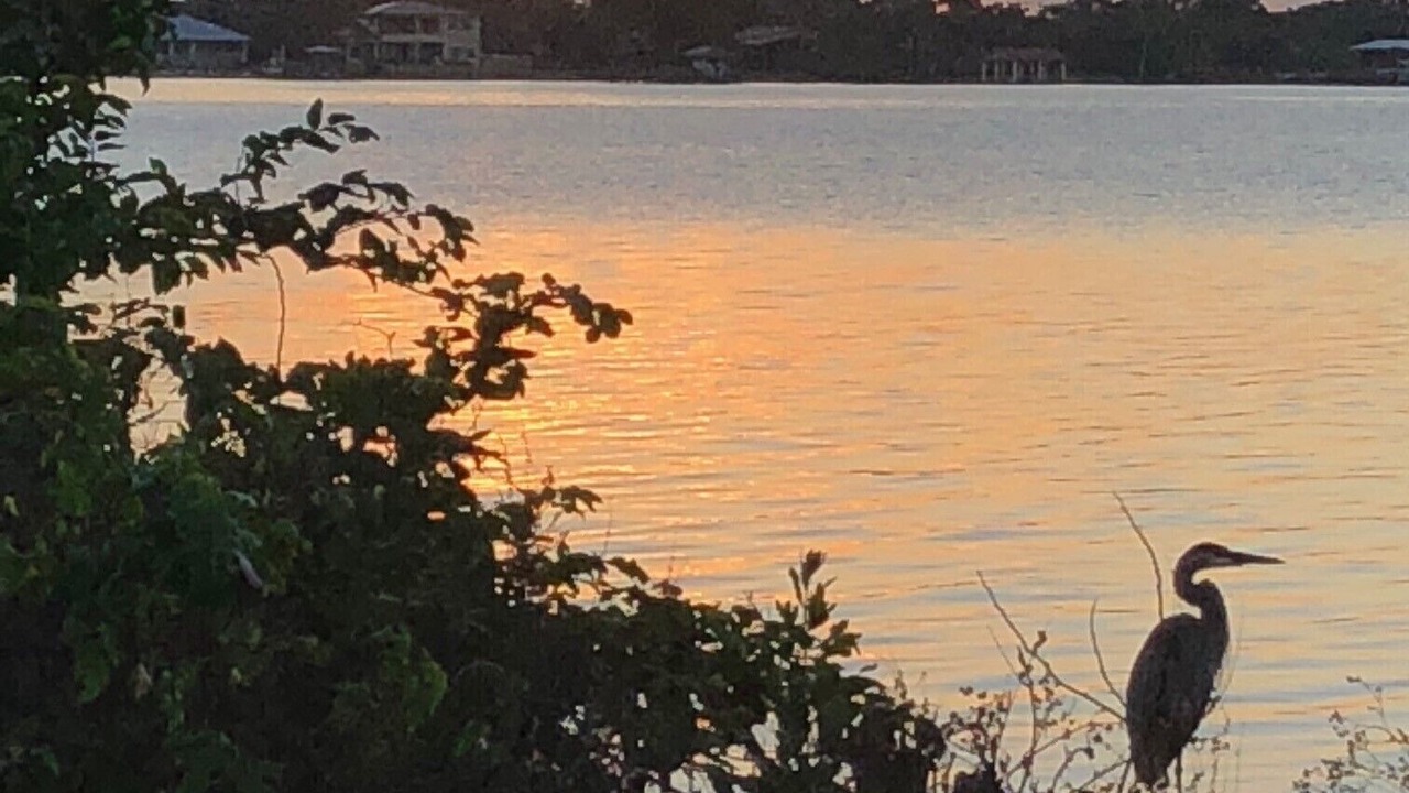 Photo of Others in Indian Harbour Beach