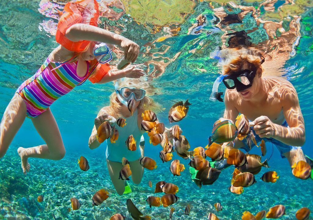 Photo of Others in Tavernier