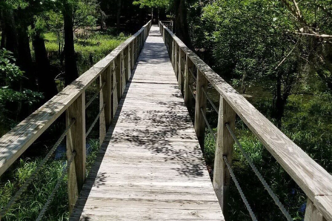 Photo of Outdoor in Branford