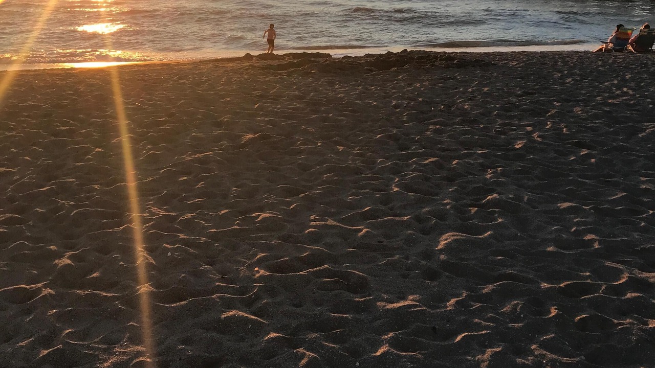 Photo of Others in South Venice