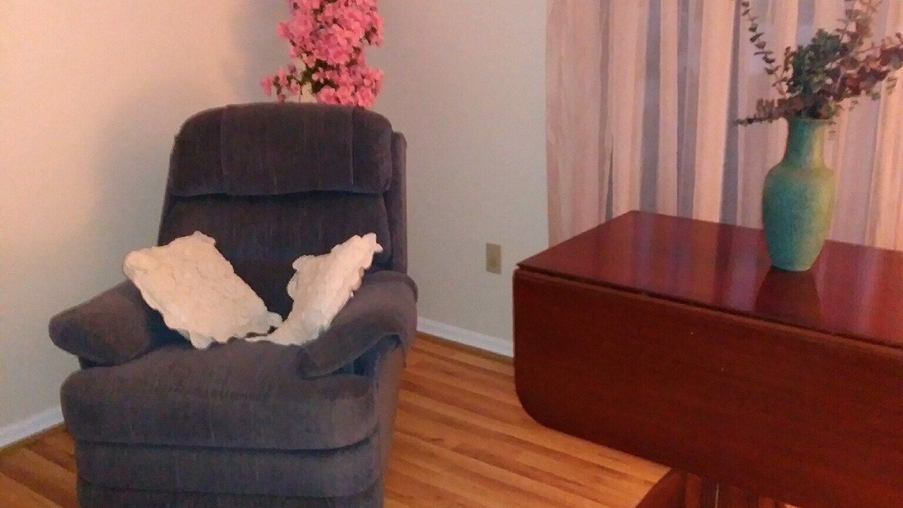 Photo of Livingroom in South Venice