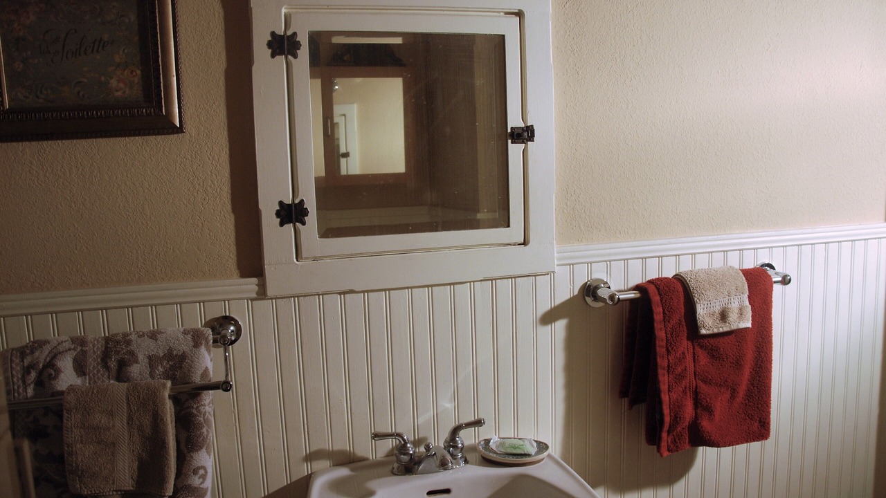 Photo of Bathroom in Tavares