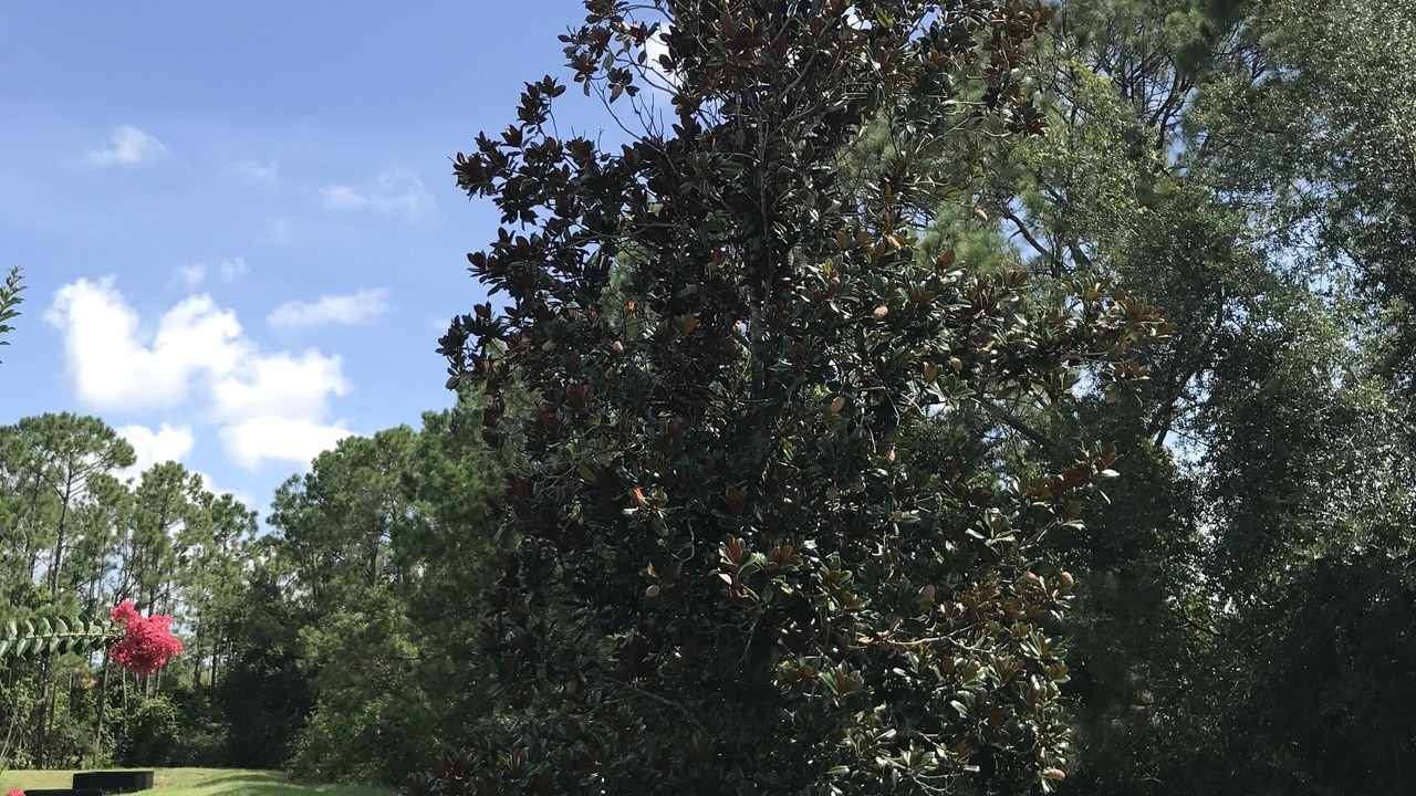 Photo of Outdoor in Sunridge Woods