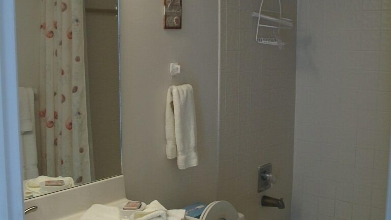 Photo of Bathroom in St. Pete Beach