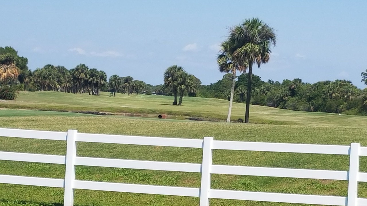 Photo of Others in Indian River Estates