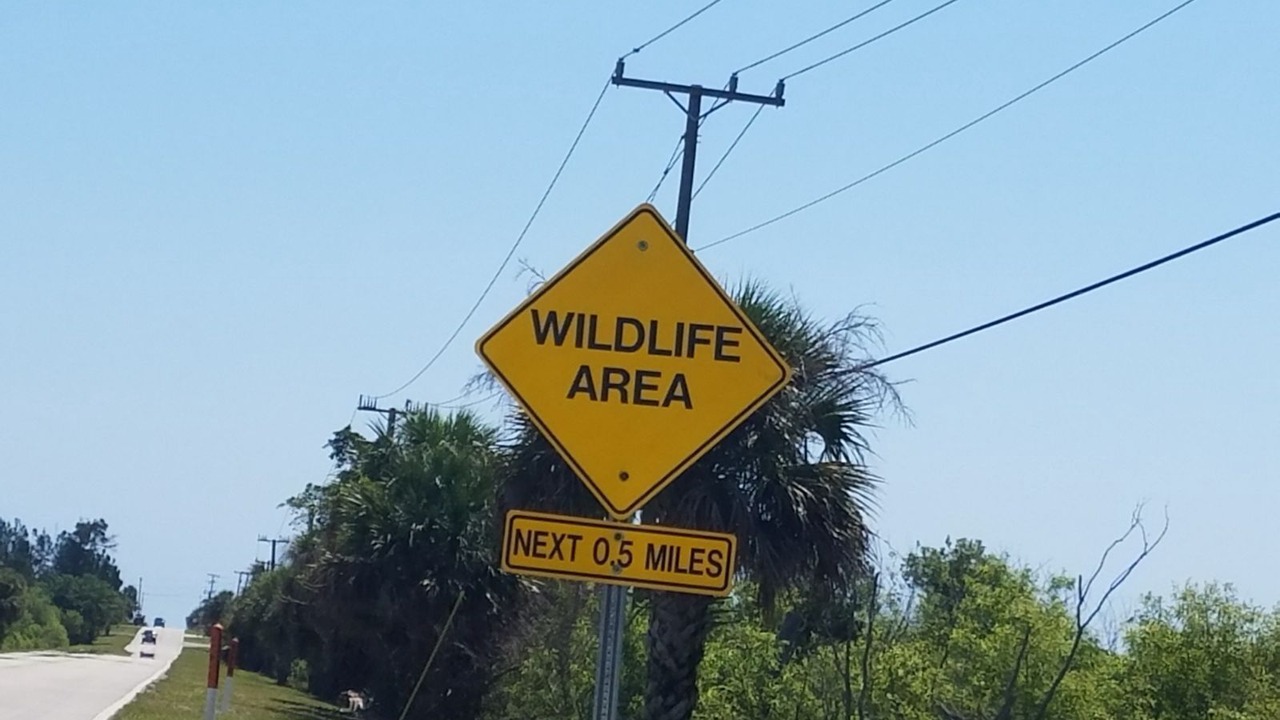 Photo of Others in Indian River Estates