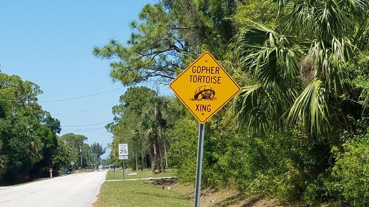 Photo of Others in Indian River Estates