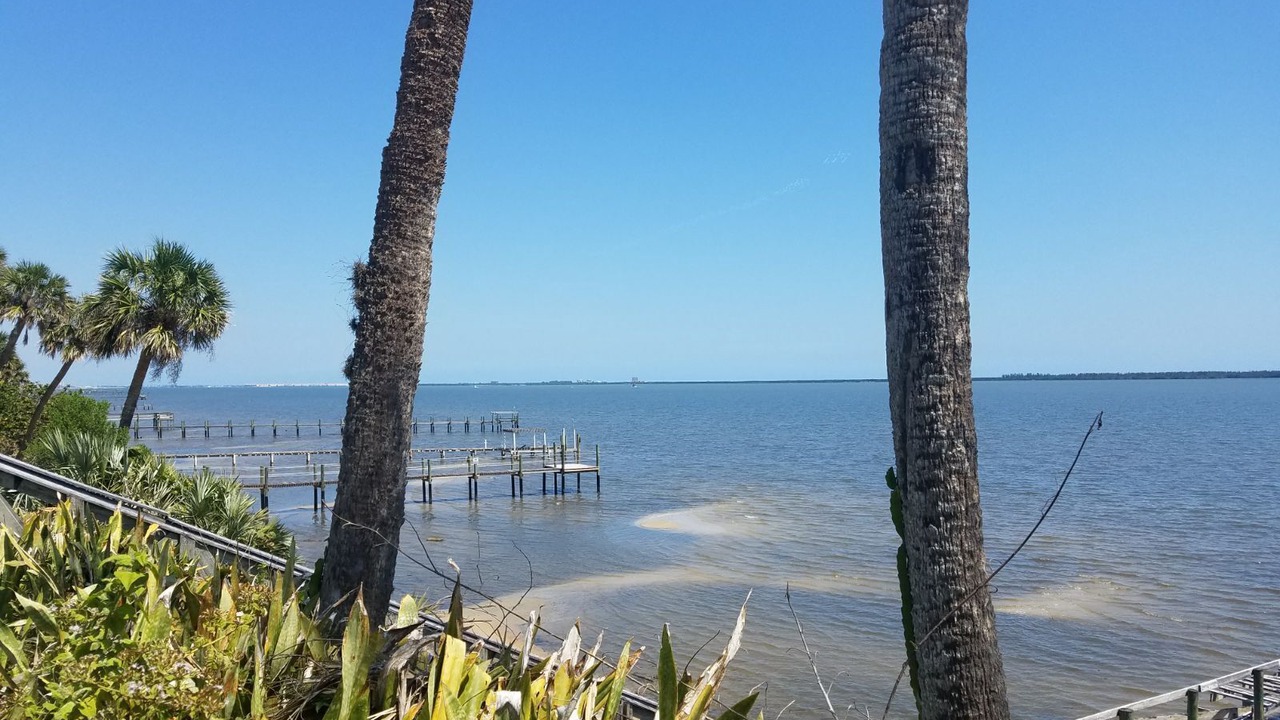 Photo of Others in Indian River Estates