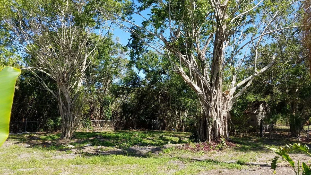 Photo of Others in Indian River Estates
