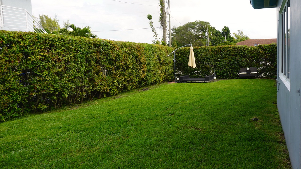 Photo of Outdoor in Liberty City