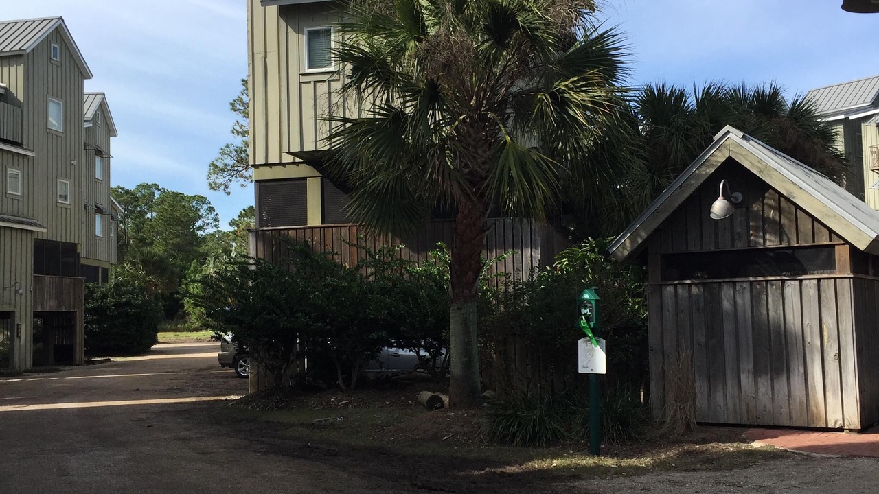 Photo of Outdoor in Carrabelle