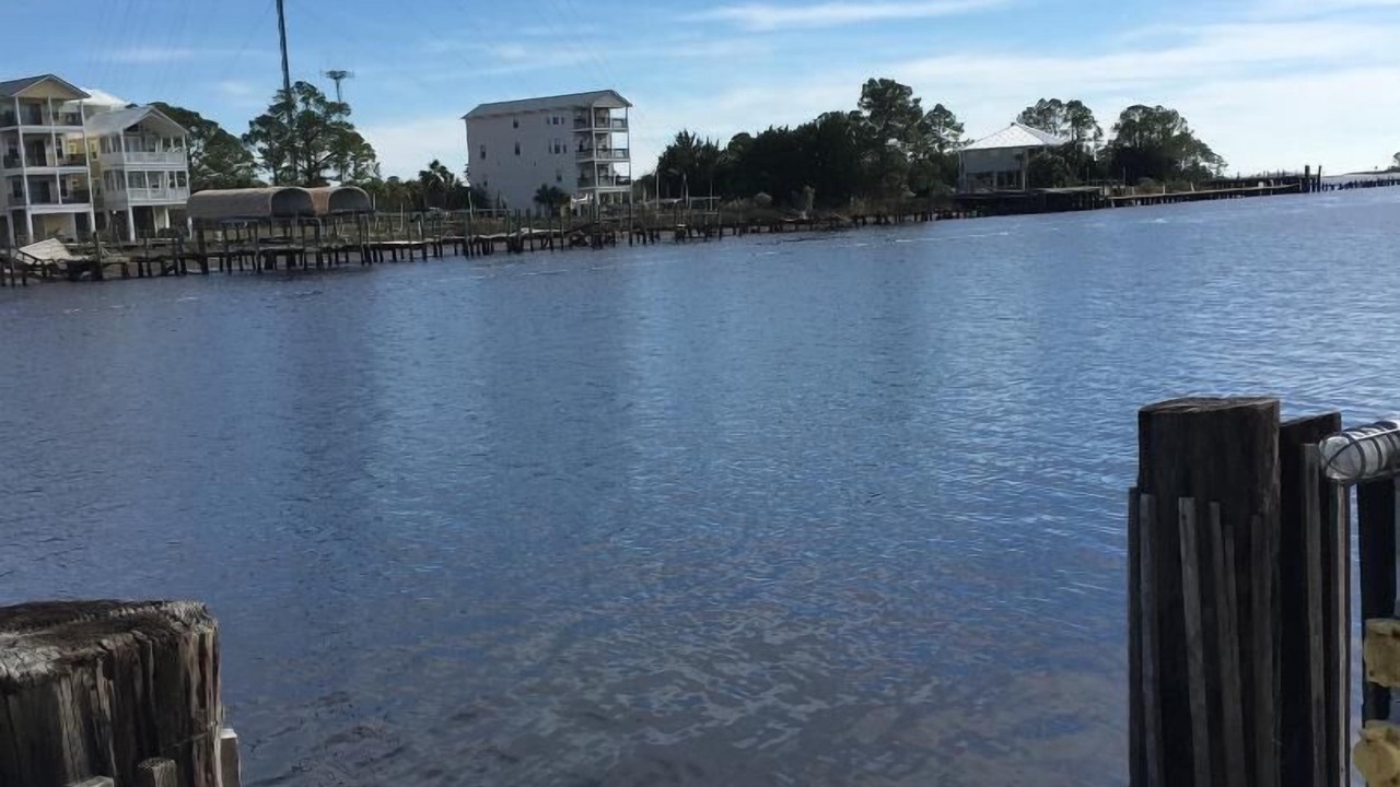 Photo of Others in Carrabelle