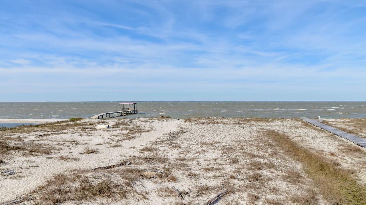 Photo of Others in Dauphin Island