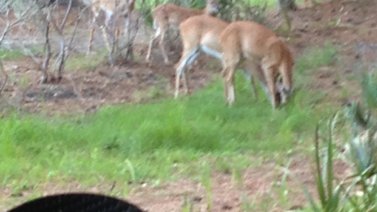 Photo of Others in Ocean Ridge