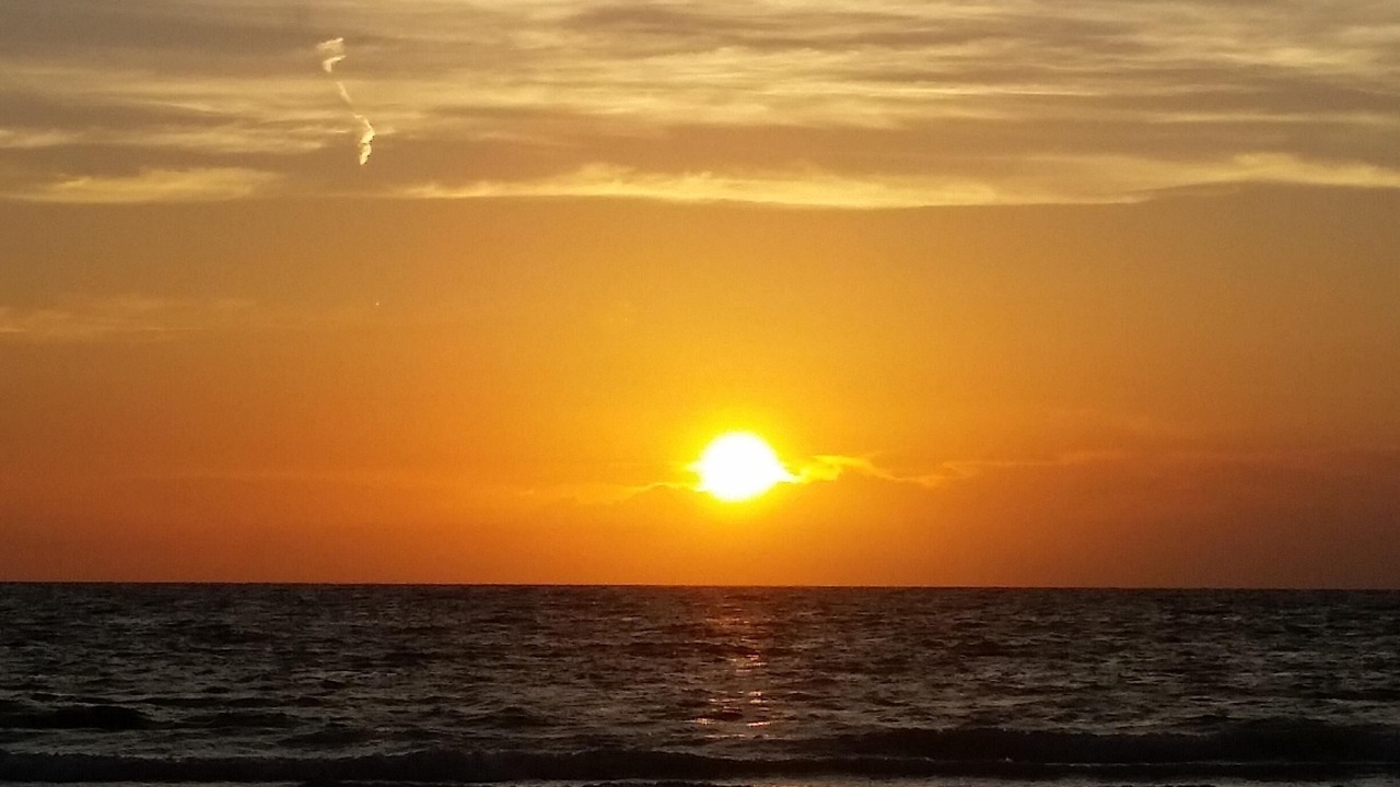 Photo of Others in Indian Rocks Beach