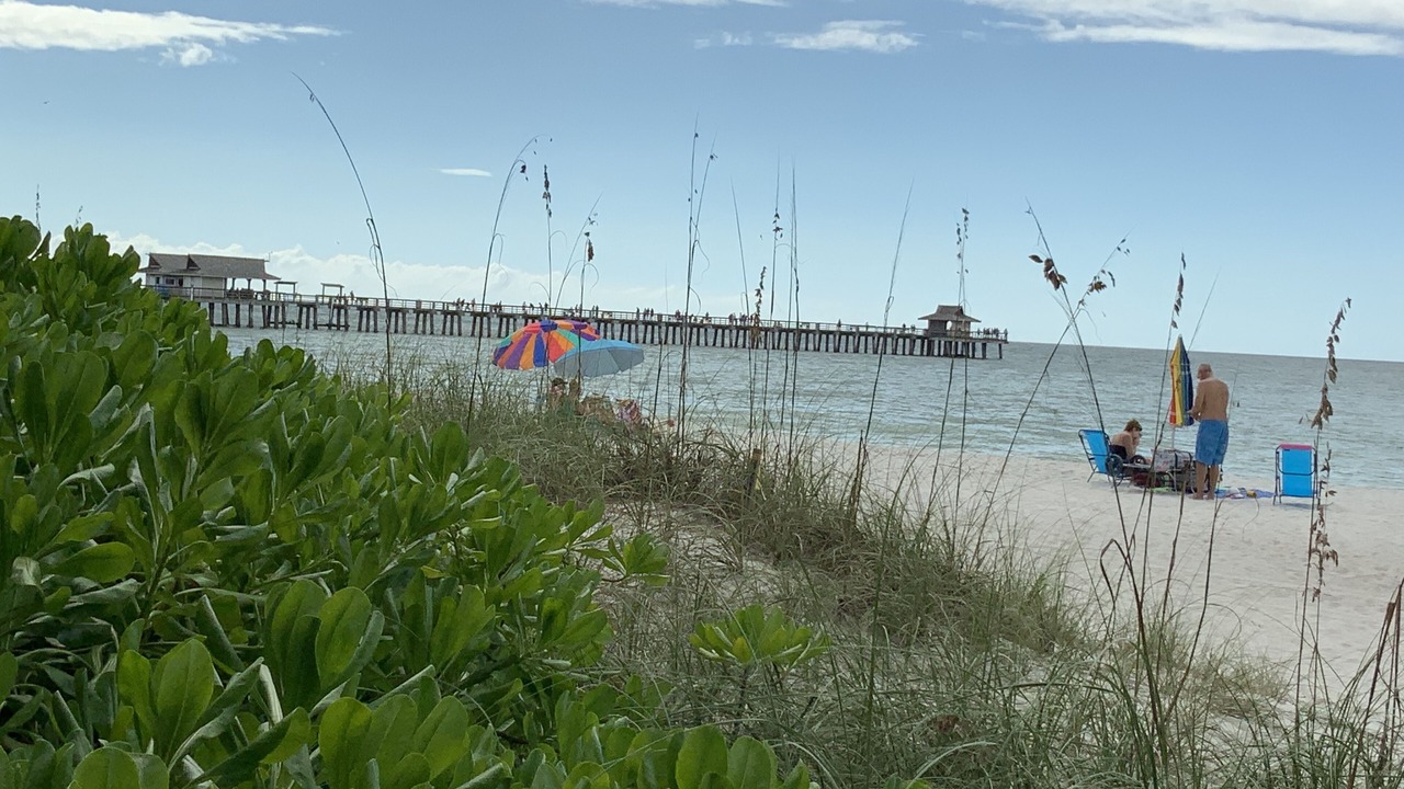 Photo of Others in Old Naples