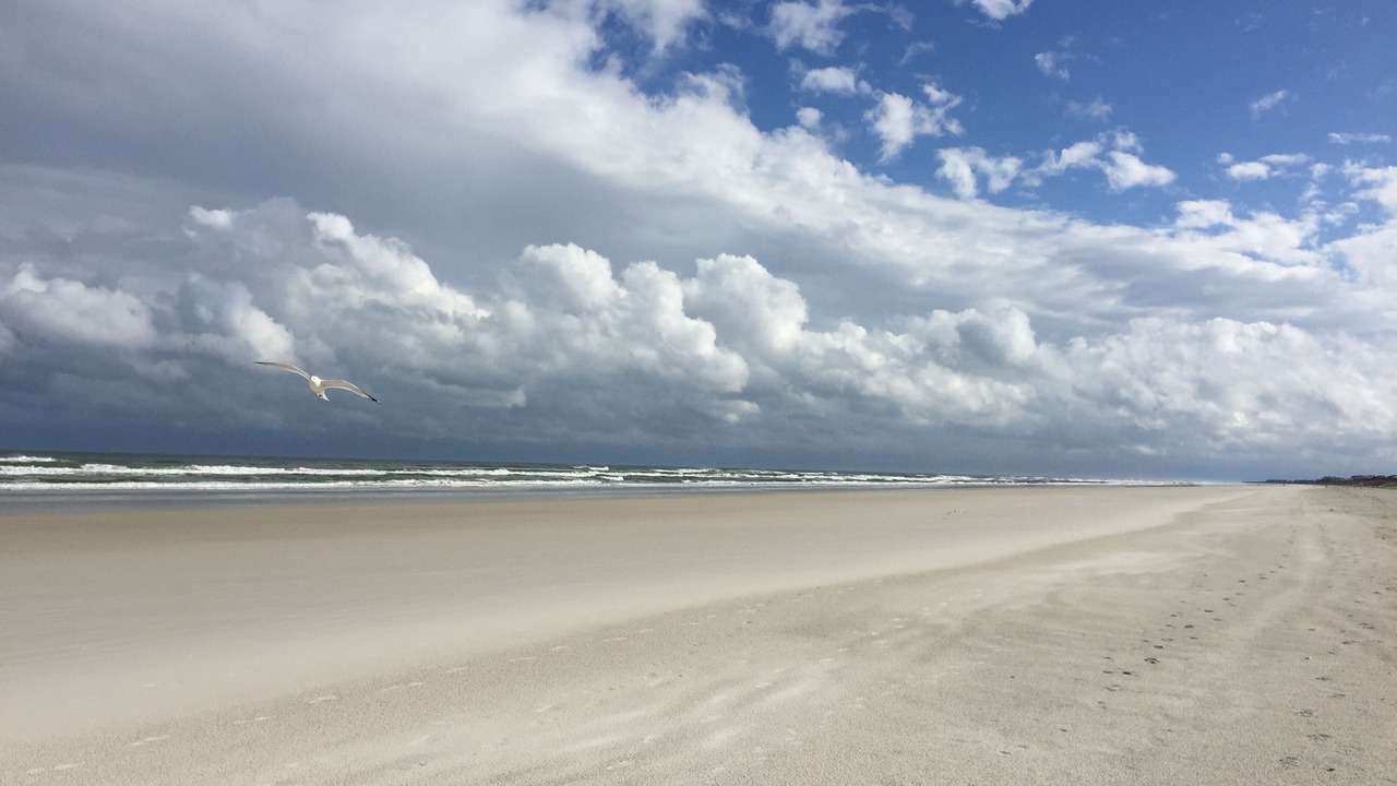 Photo of Others in Crescent Beach