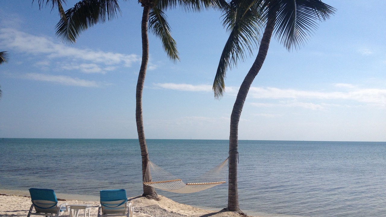 Photo of Others in Islamorada