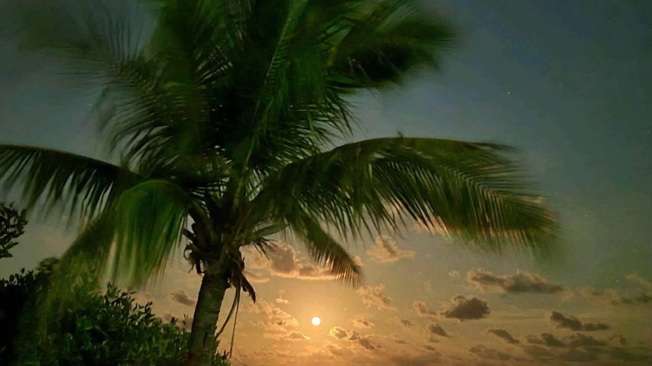Photo of Others in Tavernier