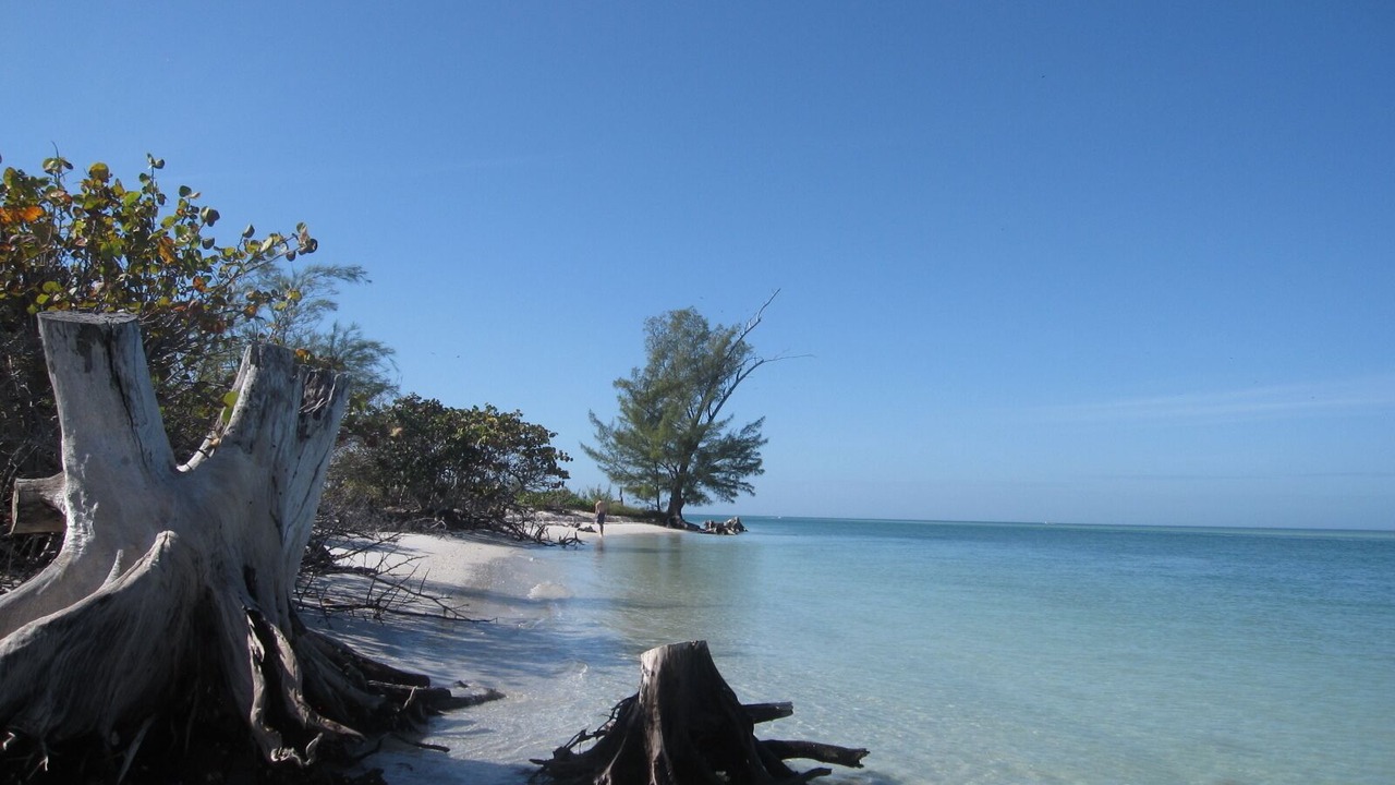 Photo of Others in Boca Grande