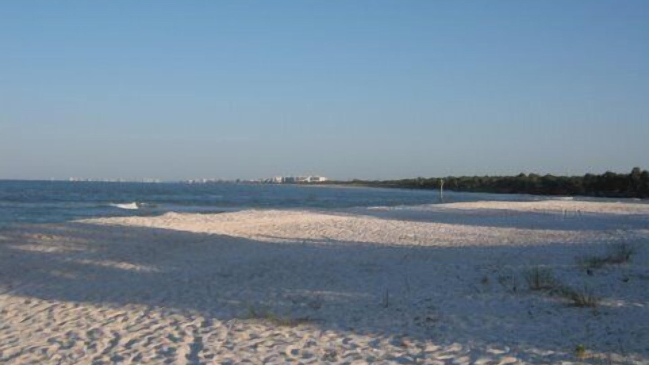 Photo of Others in Vanderbilt Beach