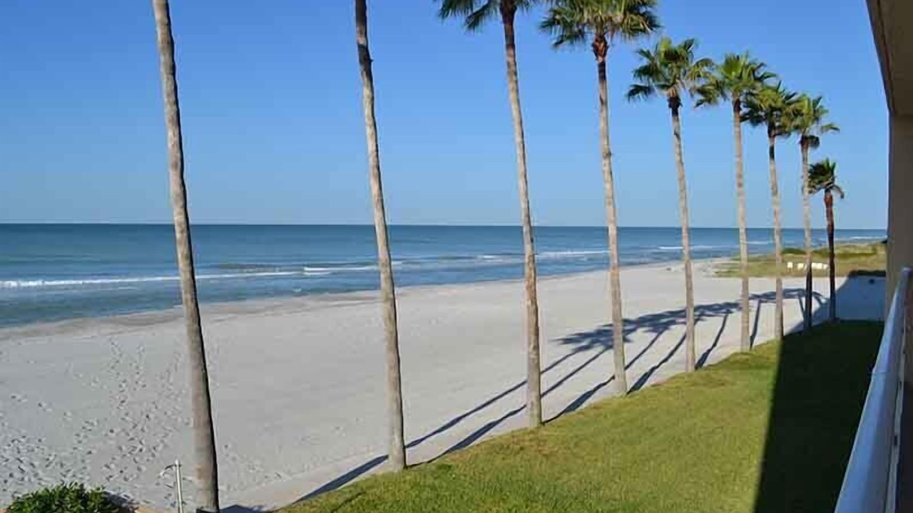 Photo of Others in Longboat Key