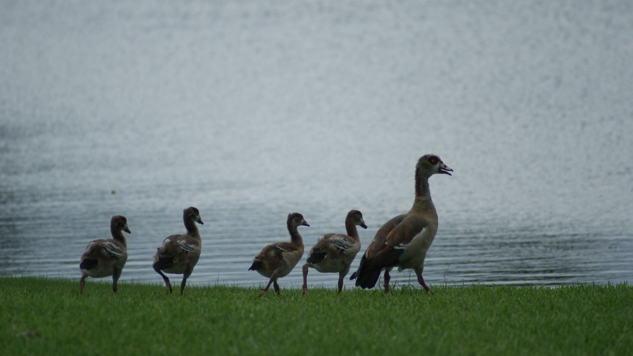Photo of Others in Stuart